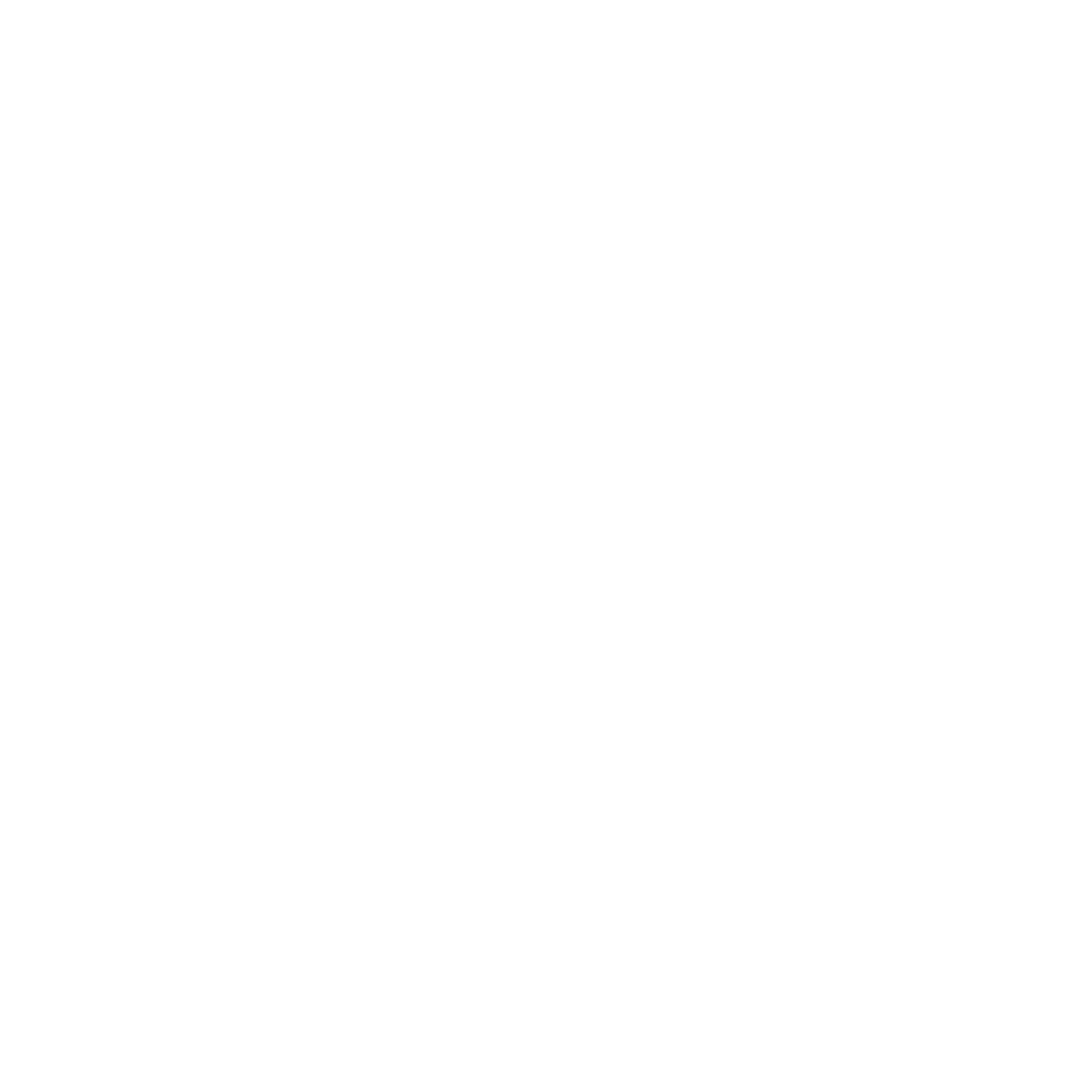 Vitruvian Man illustration